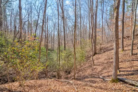 View/Area - 741 Scenic Dr, Toccoa, GA 30577 photo 4 of 6