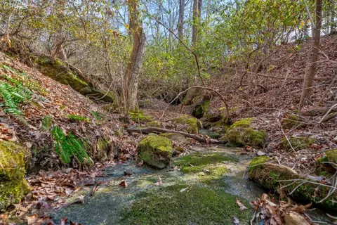 Exterior - 741 Scenic Dr, Toccoa, GA 30577 photo 9 of 9