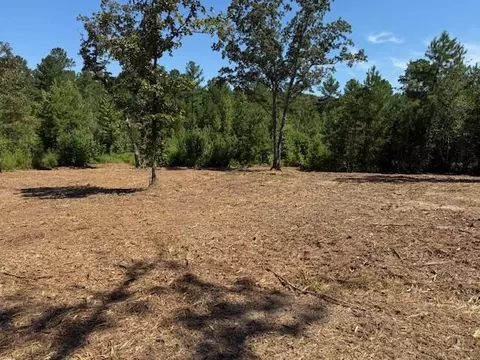 00 Satcher Rd, Taylorsville, GA 30178