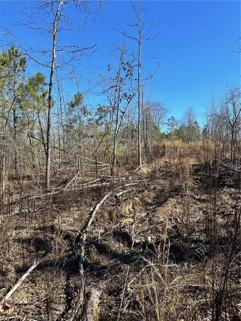000 Satcher Rd, Taylorsville, GA 30178