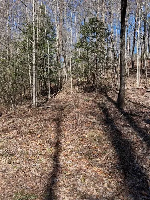 Lot 14 Haven Way, Blue Ridge, GA 30513