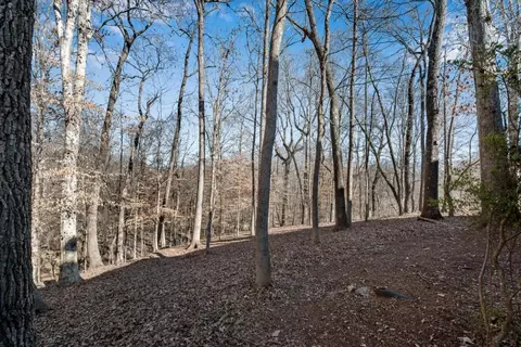 View/Area - 1741 River Bluff Vw, Duluth, GA 30097 photo 2 of 3