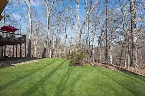 View/Area - 1741 River Bluff Vw, Duluth, GA 30097 photo 3 of 3