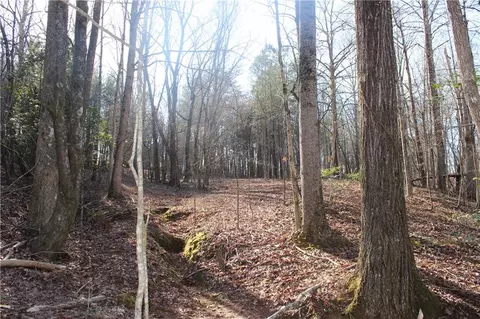 2959 Fork Rd, Gainesville, GA 30506 photo 27