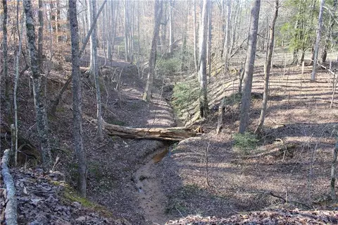 2959 Fork Rd, Gainesville, GA 30506 photo 3