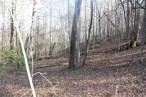 2959 Fork Rd, Gainesville, GA 30506 photo 26