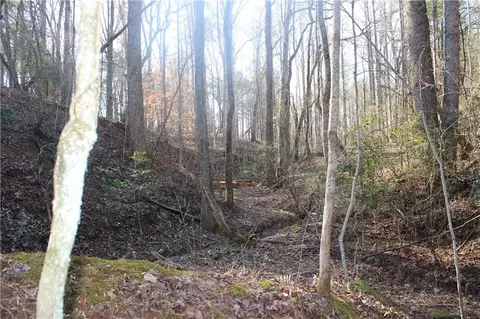 2959 Fork Rd, Gainesville, GA 30506 photo 30