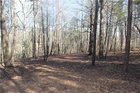 2959 Fork Rd, Gainesville, GA 30506 photo 21