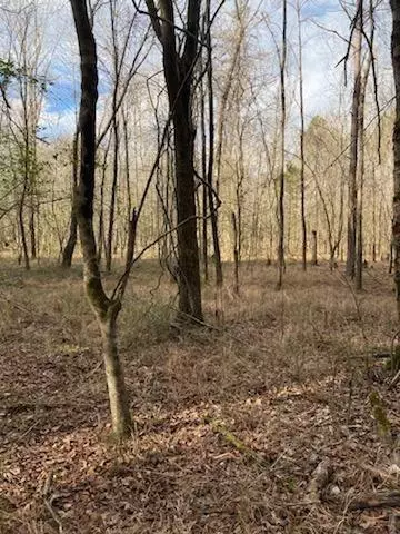 0 Cunningham Rd, Rome, GA 30161 photo 3