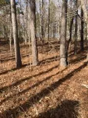 0 Cunningham Rd, Rome, GA 30161 photo 2