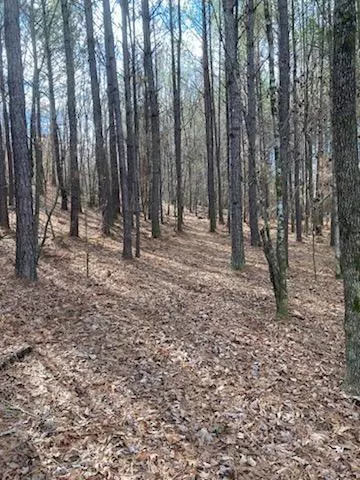 0 Cunningham Rd, Rome, GA 30161 photo 6