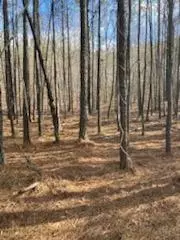 0 Cunningham Rd, Rome, GA 30161
