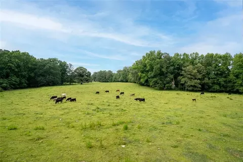 665 Hickory Flat Rd, Milton, GA 30004 photo 14