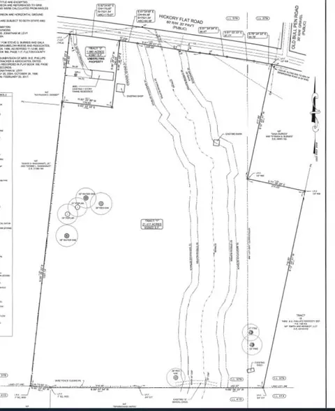 665 Hickory Flat Rd, Milton, GA 30004 photo 24