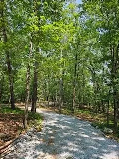 2597 Tim Prince Dr, Elberton, GA 30635