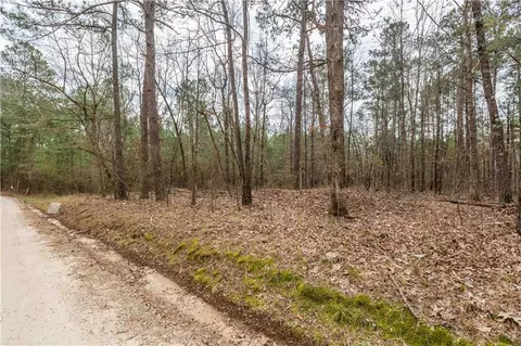 295 Digby Rd, Covington, GA 30014 photo 6