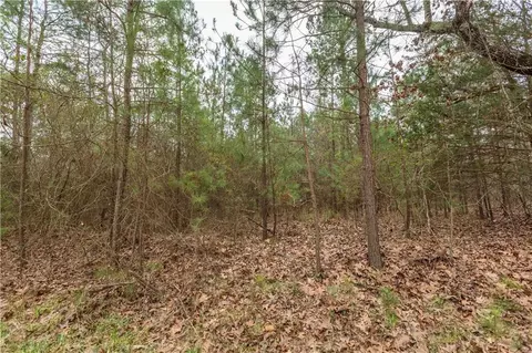 295 Digby Rd, Covington, GA 30014 photo 9