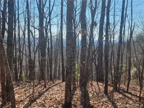 0 Ivy Mountain Dr, Clarkesville, GA 30523