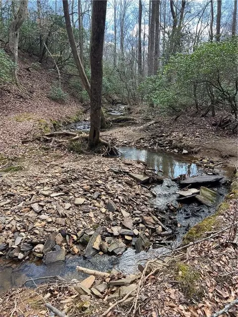 N/a Hobson Road, Jasper, GA 30143