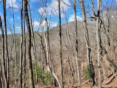 L288 Brushy Top Road, Ellijay, GA 30540
