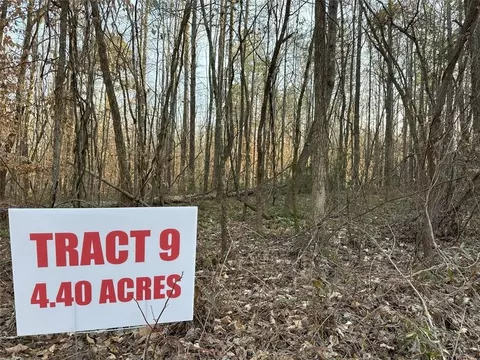 0 Mud Green Tract 9 Rd, Temple, GA 30179