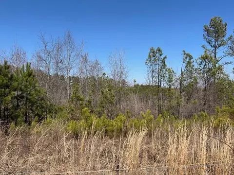 0 Five Points Rd, Buchanan, GA 30113 photo 2