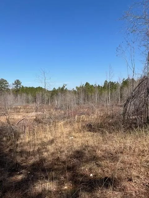 0 Five Points Rd, Buchanan, GA 30113 photo 4
