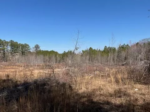 0 Five Points Rd, Buchanan, GA 30113 photo 3