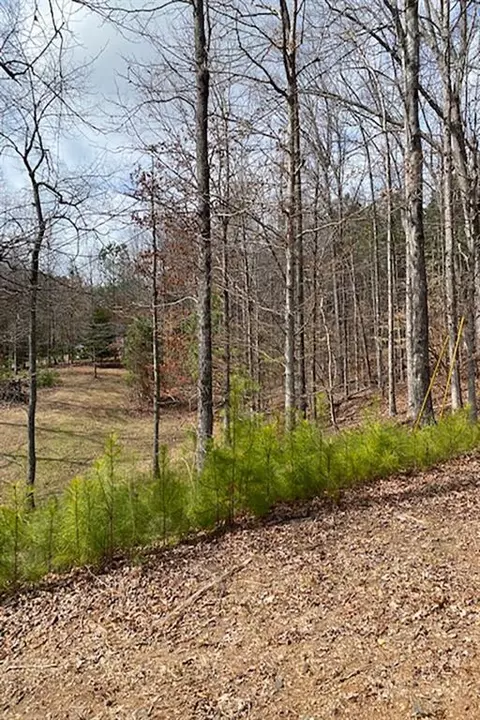 0 Alexander Cir, Cumming, GA 30041