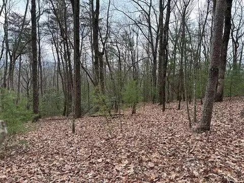 Lot 8 Marjorie Avenue, Ellijay, GA 30536