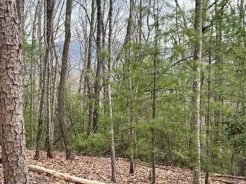 Lot 7 Marjorie Avenue, Ellijay, GA 30536