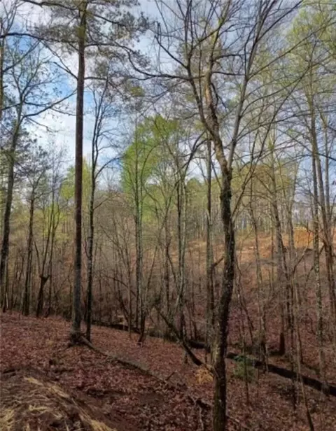 120 Bridle Ridge Ln, Canton, GA 30114