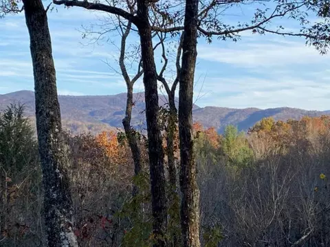 12 Little Bushy Head Rd, Blue Ridge, GA 30513