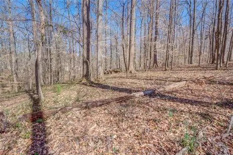 35 Alcovy Way, Covington, GA 30014 photo 33