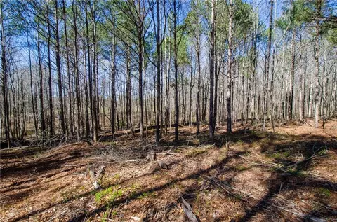 840 Adamson Dr, Monroe, GA 30655 photo 11