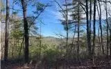 1025 Raccoon Ridge Rd, Ranger, GA 30734