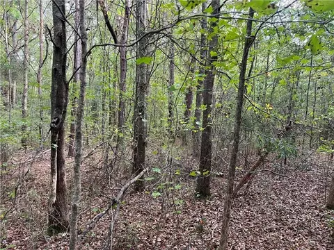 0 Hwy 213, Covington, GA 30014 photo 6
