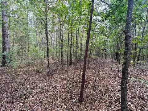 0 Hwy 213, Covington, GA 30014 photo 5