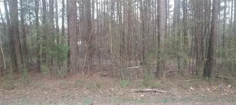 0 Roy North Rd, Carrollton, GA 30117