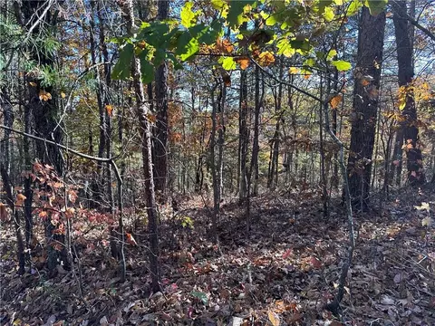 1685 Shade Tree Dr, Talking Rock, GA 30534