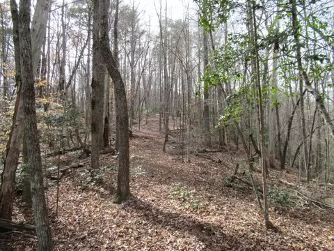 00 Long Branch Rd, Dahlonega, GA 30533