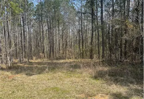 909 Beasley, Roberta, GA 31078 photo 1