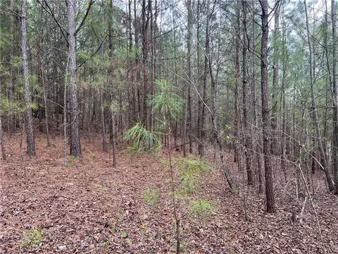 505 Reo Rd, Rock Spring, GA 30740