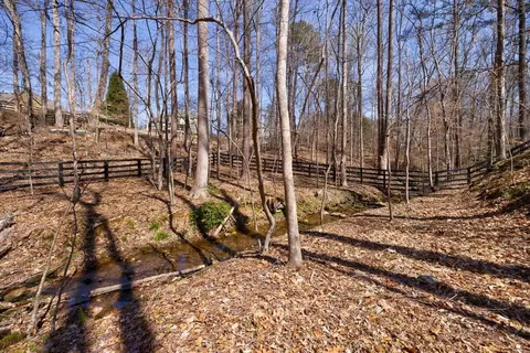 View/Area - 14389 Cogburn Rd, Milton, GA 30004 photo 4 of 6