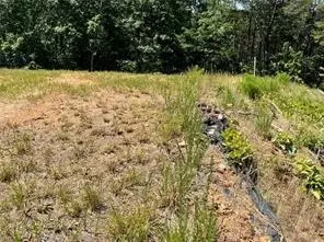 6371 Falcon Ln, Gainesville, GA 30506