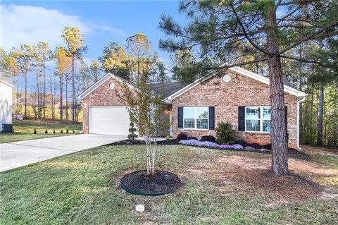 1188 Warm Spring Ct, Hampton, GA 30228 photo 3
