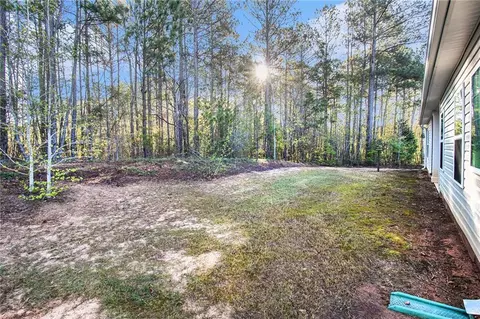 1188 Warm Spring Ct, Hampton, GA 30228 photo 21