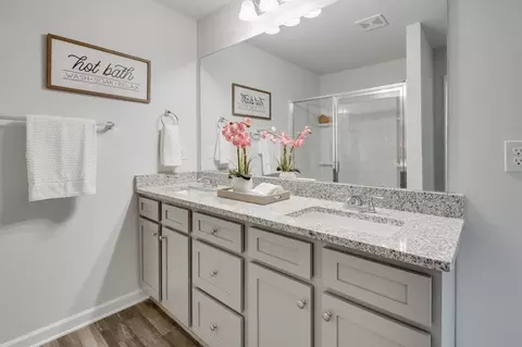 Bath - 151 Belldown Ct, Mcdonough, GA 30253 photo 3 of 4