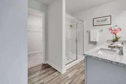 Bath - 151 Belldown Ct, Mcdonough, GA 30253 photo 4 of 4