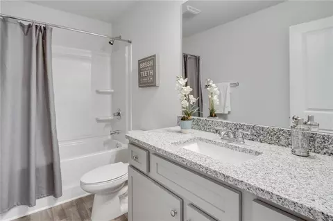 Bath - 159 Belldown Ct, Mcdonough, GA 30253 photo 6 of 6